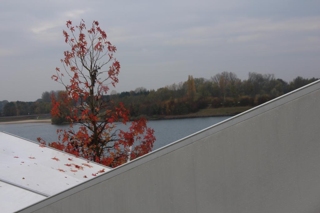 Sailcenter Limburg Pansiyon Kinrooi Dış mekan fotoğraf