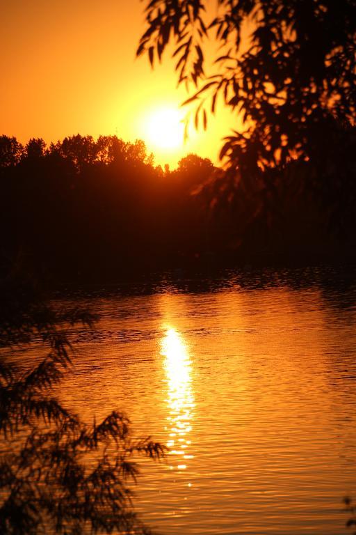 Sailcenter Limburg Pansiyon Kinrooi Dış mekan fotoğraf