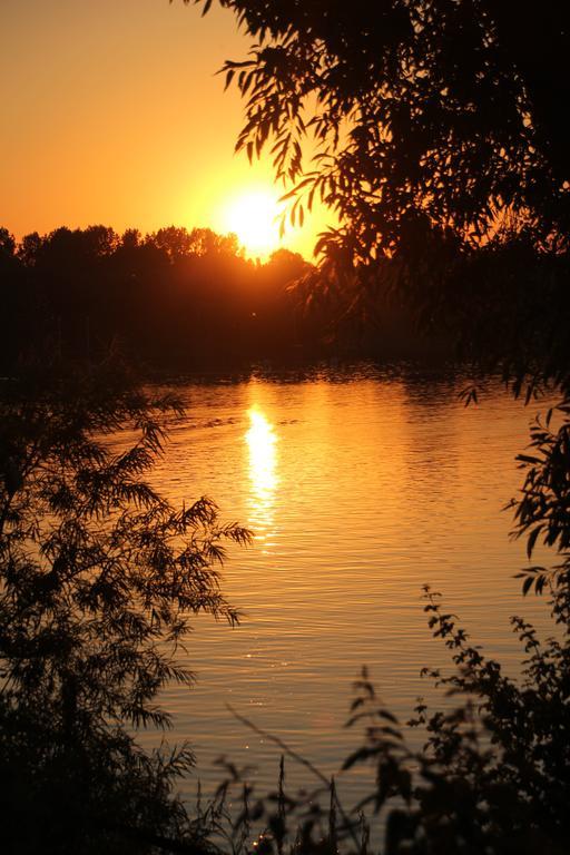Sailcenter Limburg Pansiyon Kinrooi Dış mekan fotoğraf